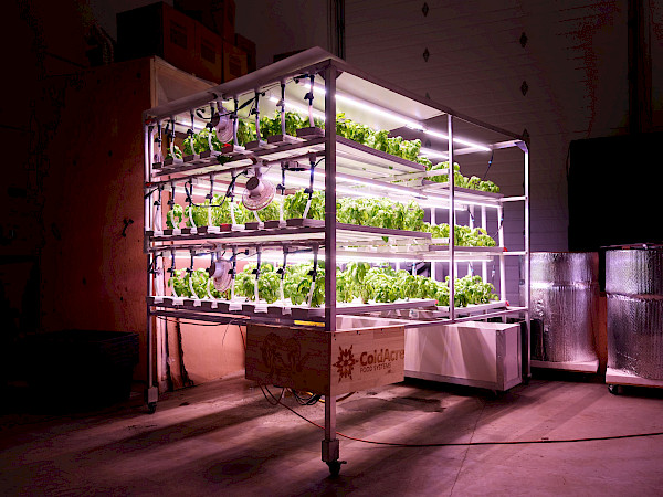 Arctic Food Innovation Cluster