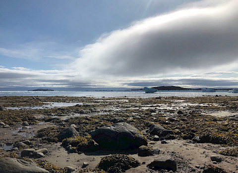 Photo: Mathieu Parker