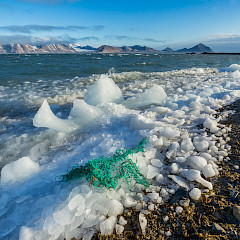 Plastic litter on an Arctic coast. Photo: iStock/sodar99