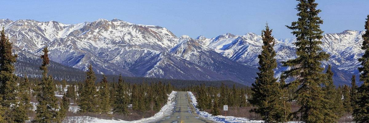 Road in Yukon