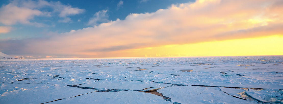 Sea ice in the Arctic