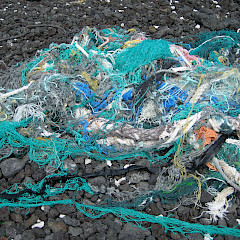 LCDR Eric Johnson / NOAA