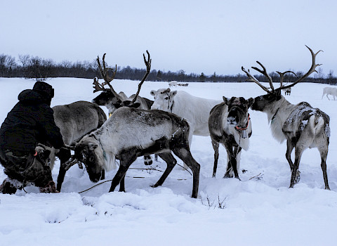 Photo: Patrick Huber