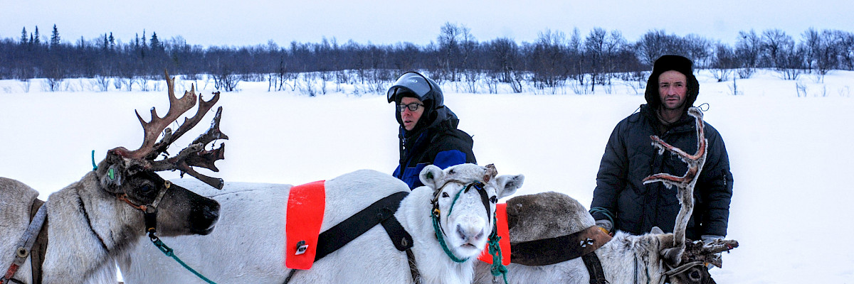 Photo from ACAP's Tundra Project