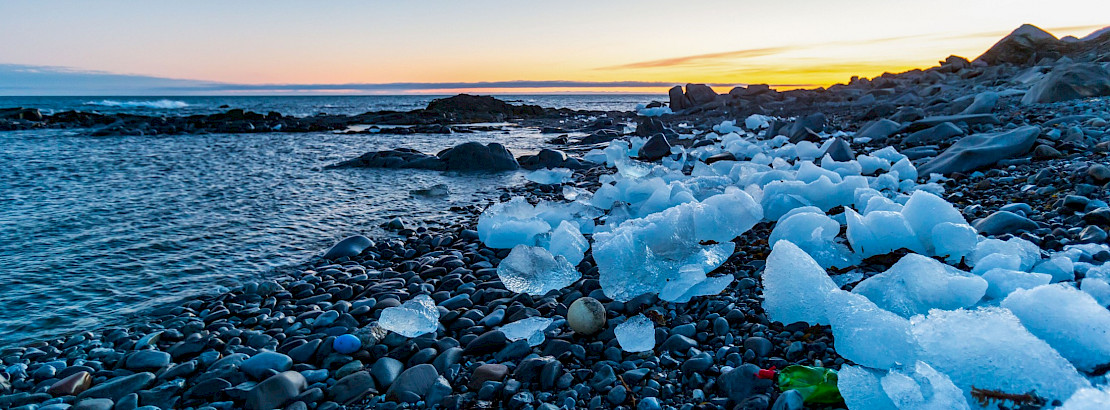 Plastic pollution on the Arctic coast