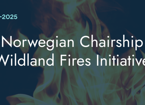 Norwegian Chairship Wildland Fires Initiative