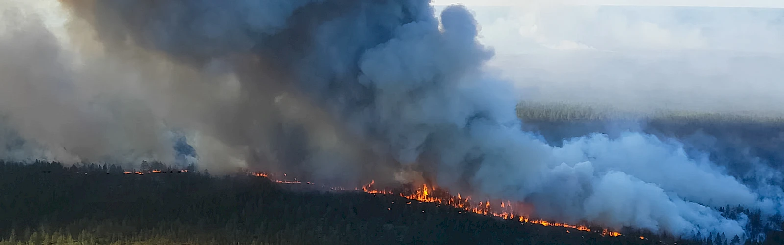Wildland fire in Russian Federation